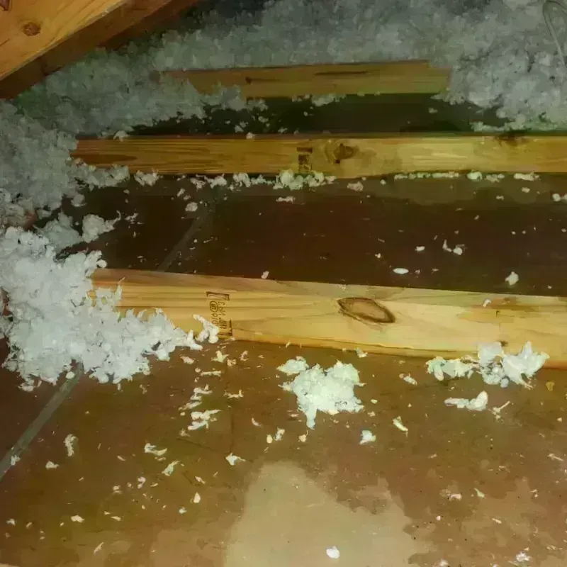 Attic Water Damage in Meade County, KS