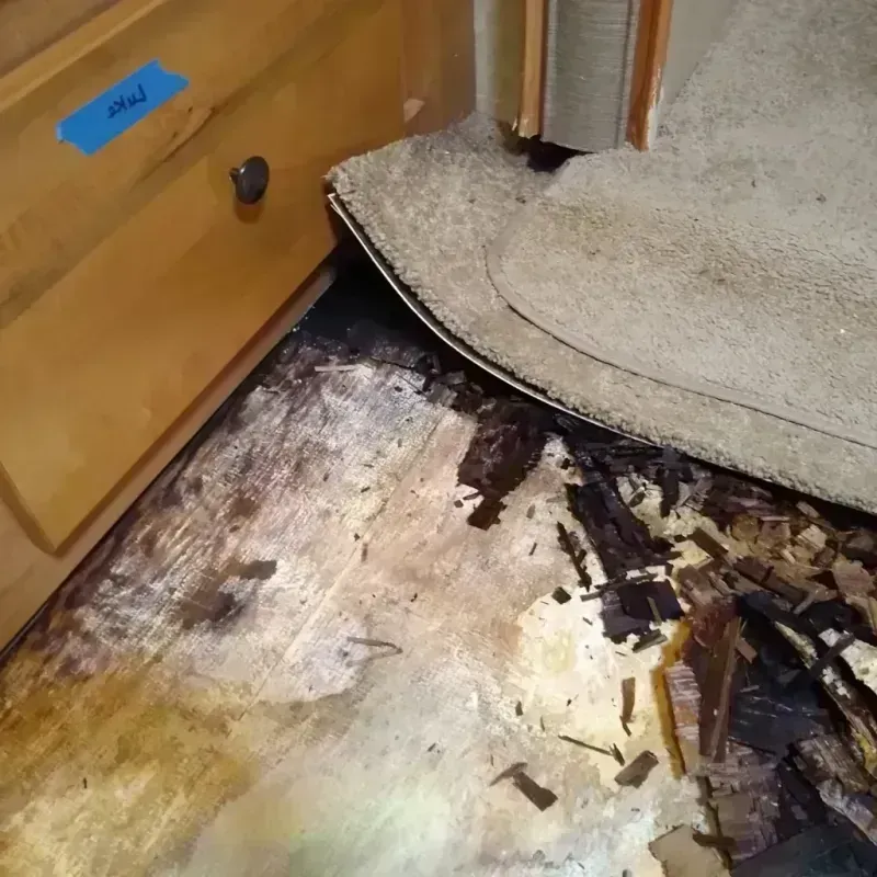 Best Wood Floor Water Damage Service in Meade County, KS